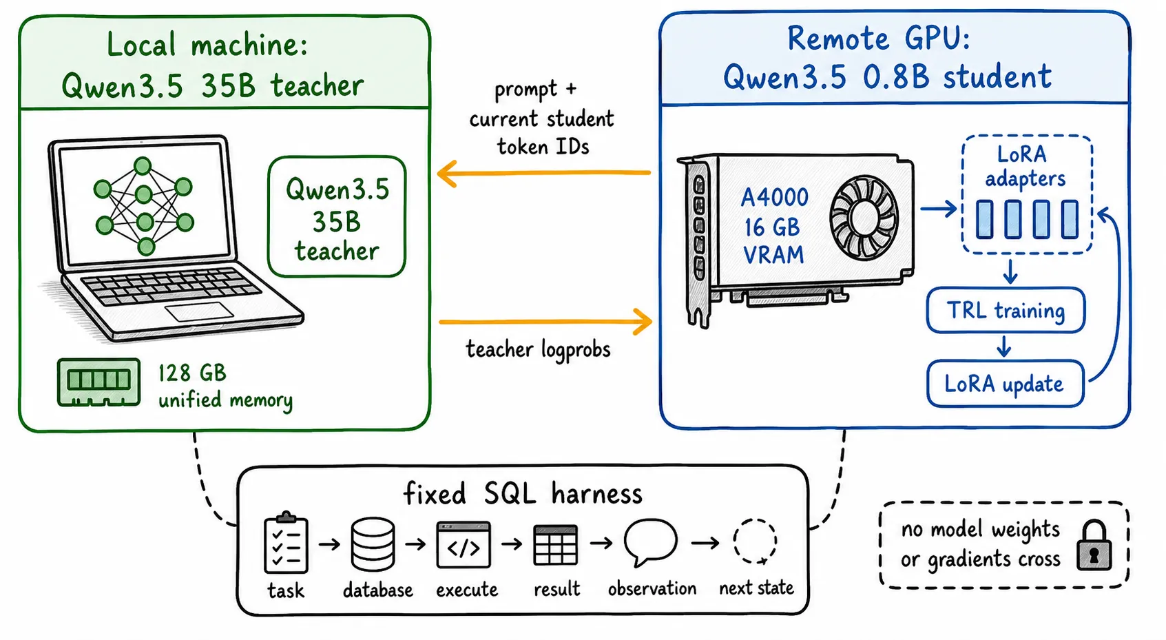The CUDA student samples action tokens while the same-family MLX teacher on a Mac returns probabilities for those exact tokens
